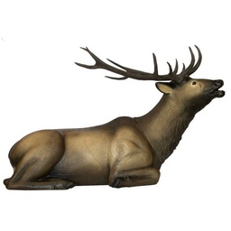 Bedded Elk SRT