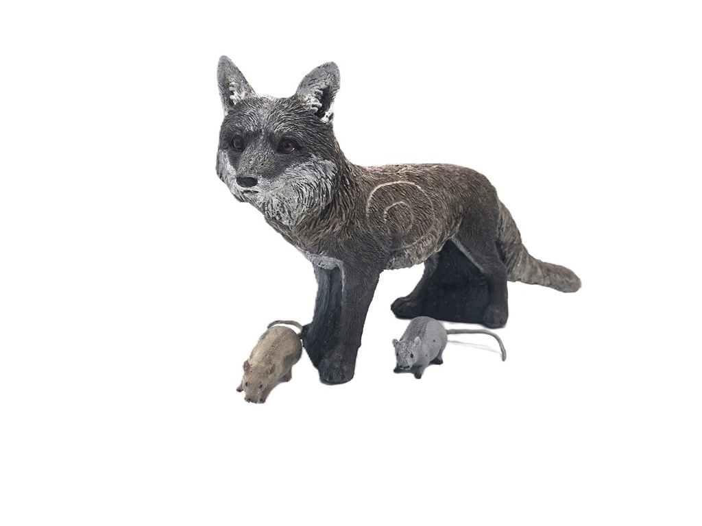 Fuchs Floki B.M.R.