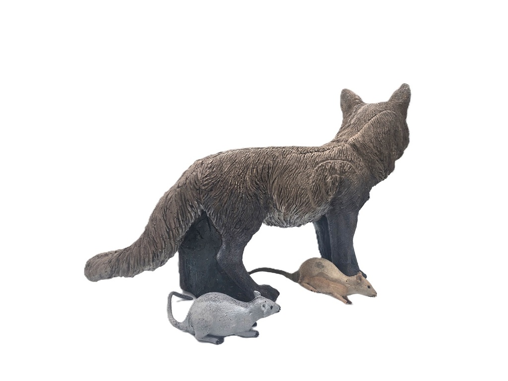 Fuchs Floki B.M.R.
