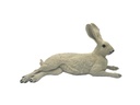 Hase Herbert B.M.R.