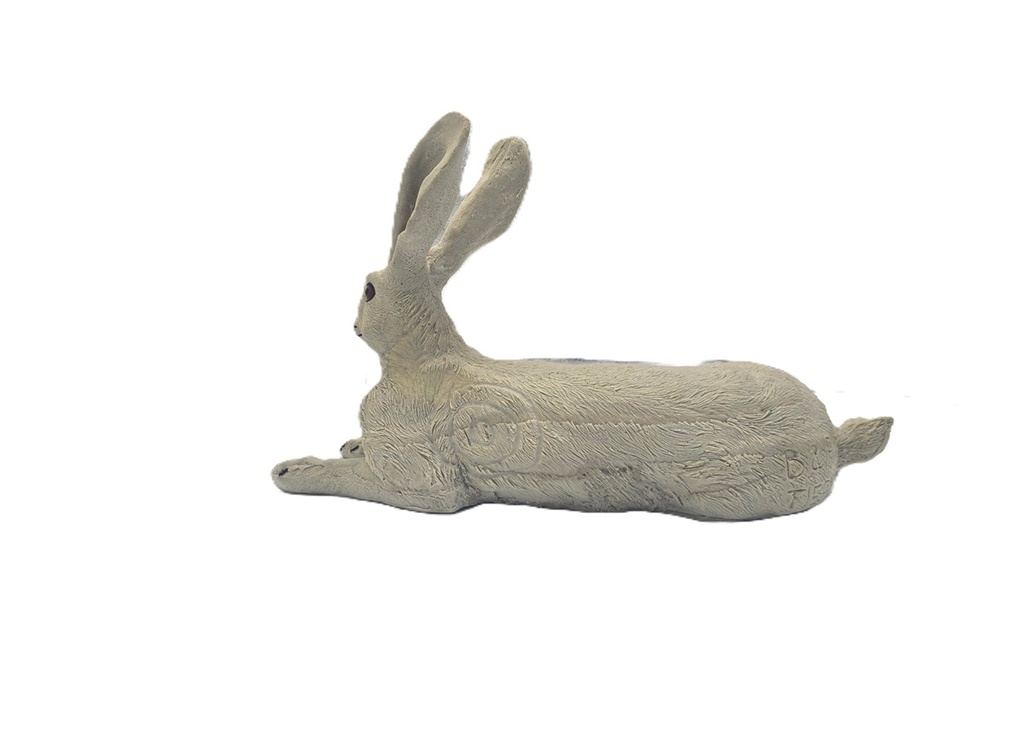Hase Herbert B.M.R.