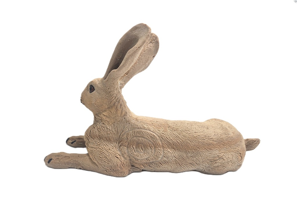 Hase Herbert B.M.R.