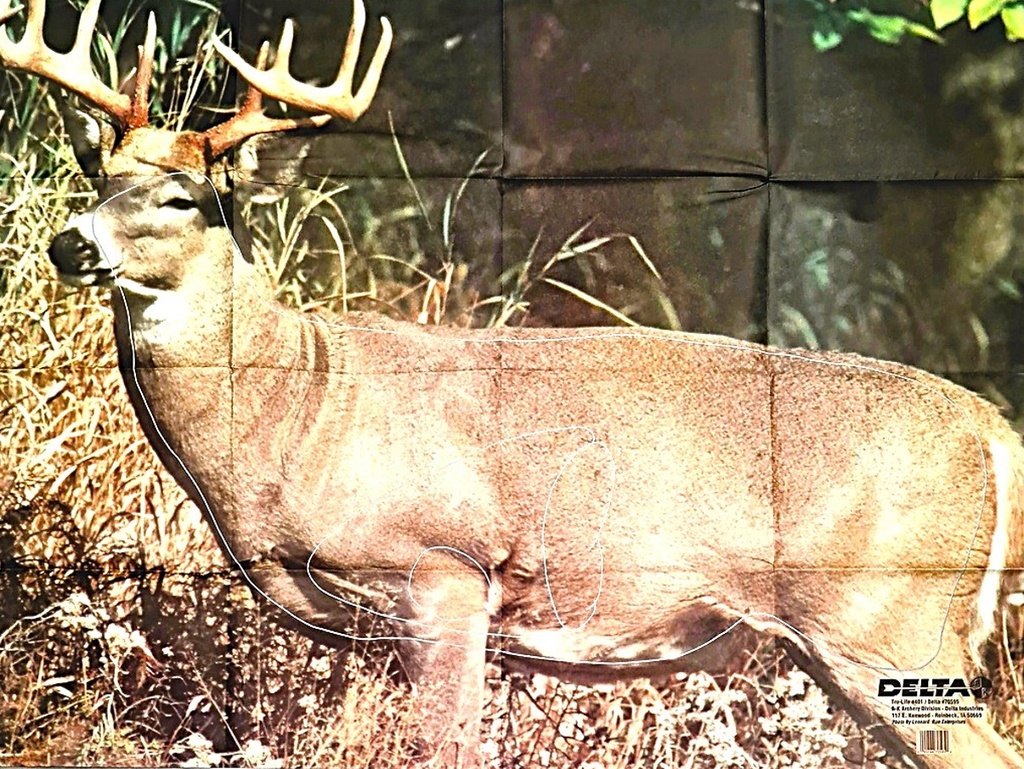  Animal Target  Whitetail Deer 401 Delta