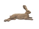 Hase Herbert B.M.R.