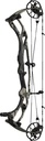 Compound RX-9 Ultra Camo Hoyt