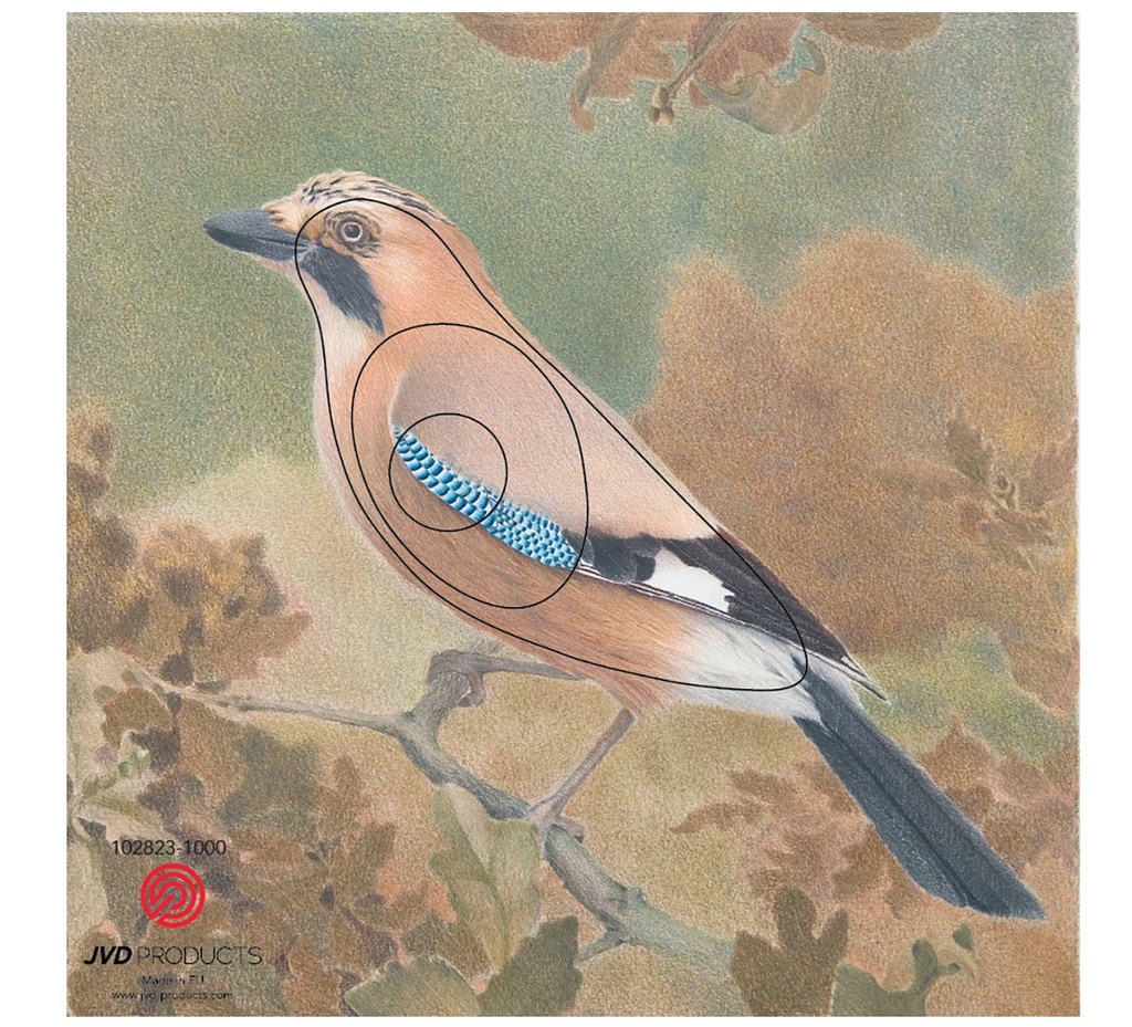 Tierbild Jay