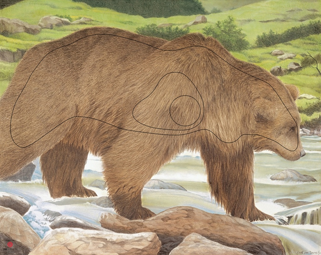 Tierbild Bär