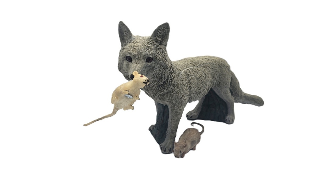 Fuchs Floki B.M.R.