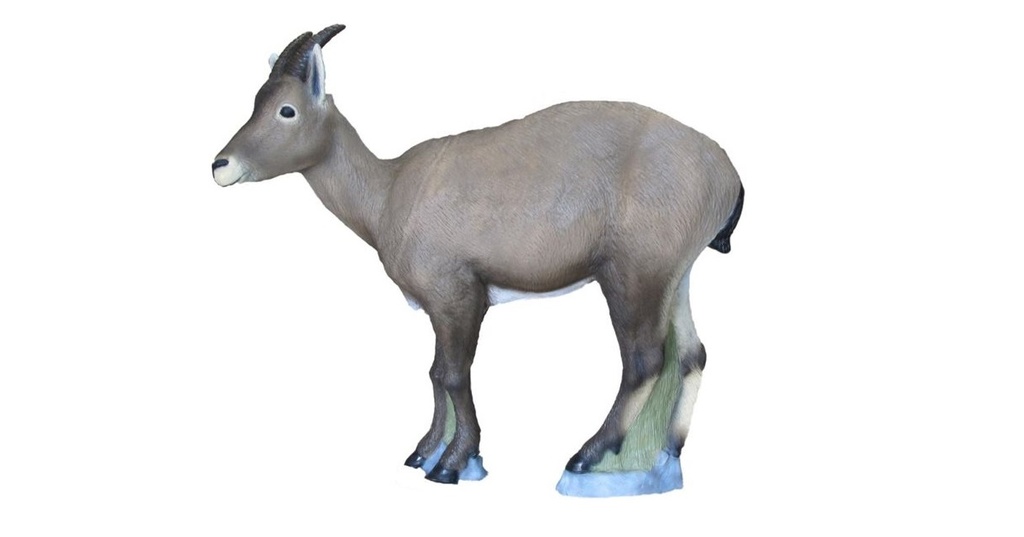 Capricorn Female SRT