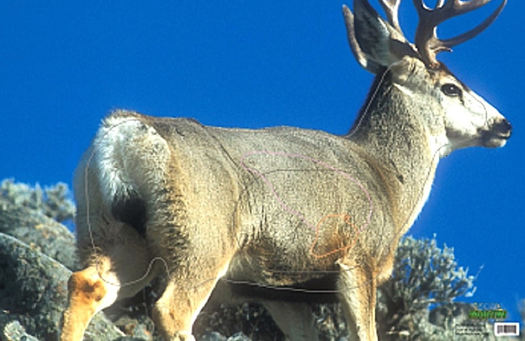 Animal Target Mule Deer Blue Martin