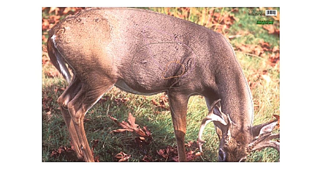 Animal target Whitetail Deer Martin