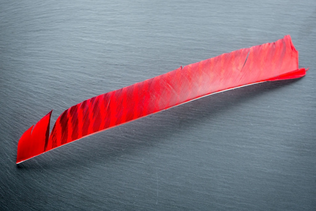 Natural Feather LW Full Length Barred