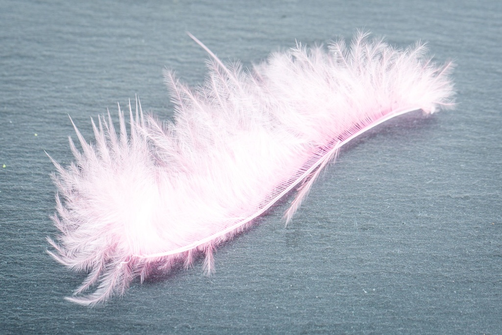 Natural Feathers Tracers 12pc.