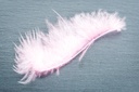Natural Feathers Tracers 12pc.