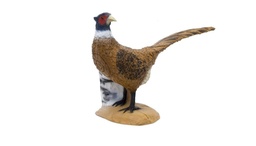 Pheasant SRT