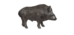 Boar FB 