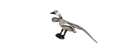 Goose flying FB
