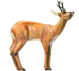 Roebuck VSE SRT 