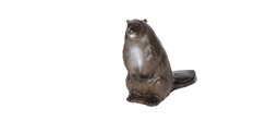 Beaver Standing FB