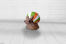 Schnecke klein Asen 